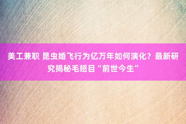 美工兼职 昆虫婚飞行为亿万年如何演化？最新研究揭秘毛翅目“前世今生”