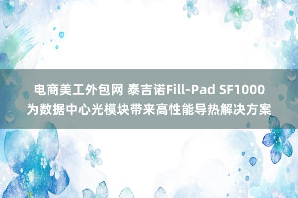 电商美工外包网 泰吉诺Fill-Pad SF1000为数据中心光模块带来高性能导热解决方案